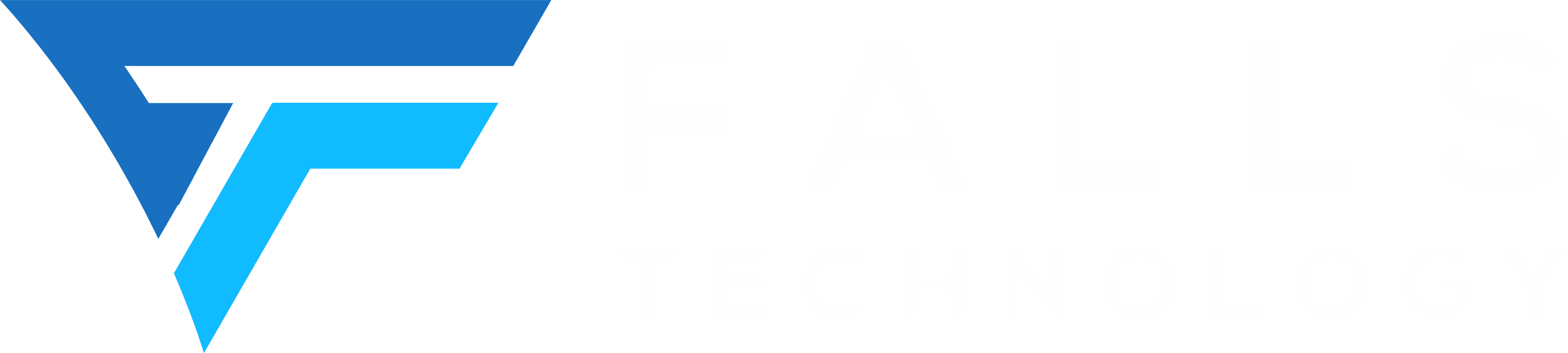 Falls Technology